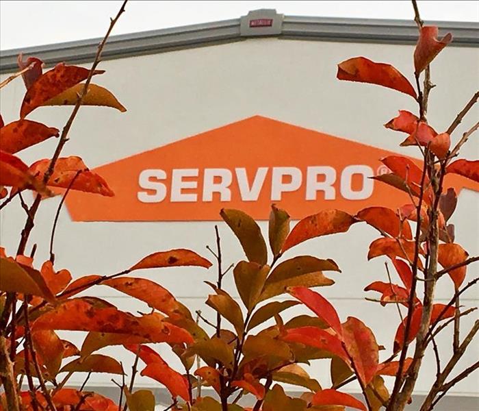SERVPRO sign with fall leaves