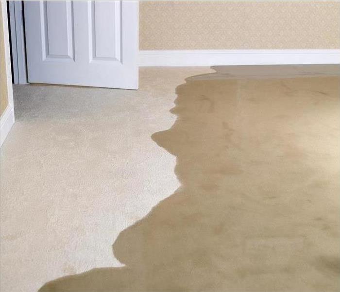 water on carpet in home