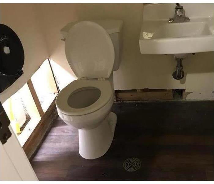 leaking toilet