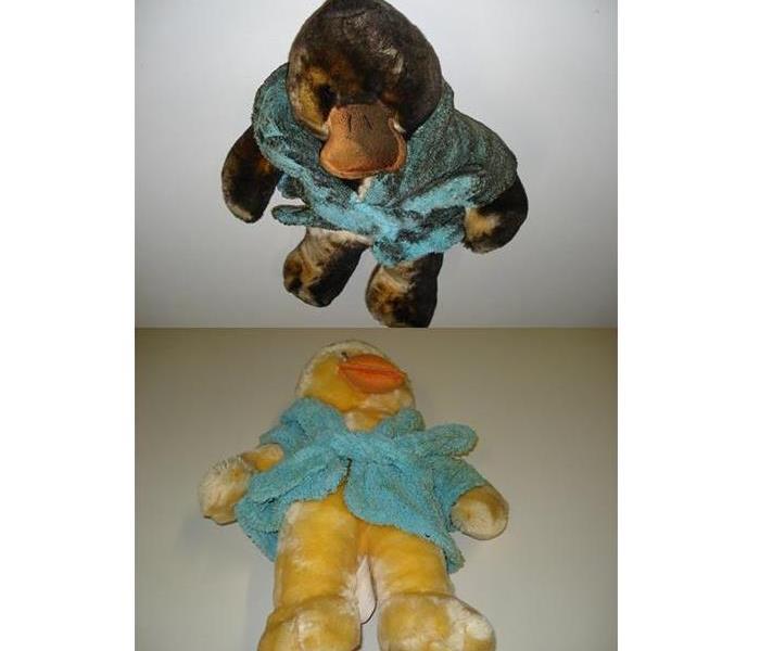 before and after stuffed animal cleaned